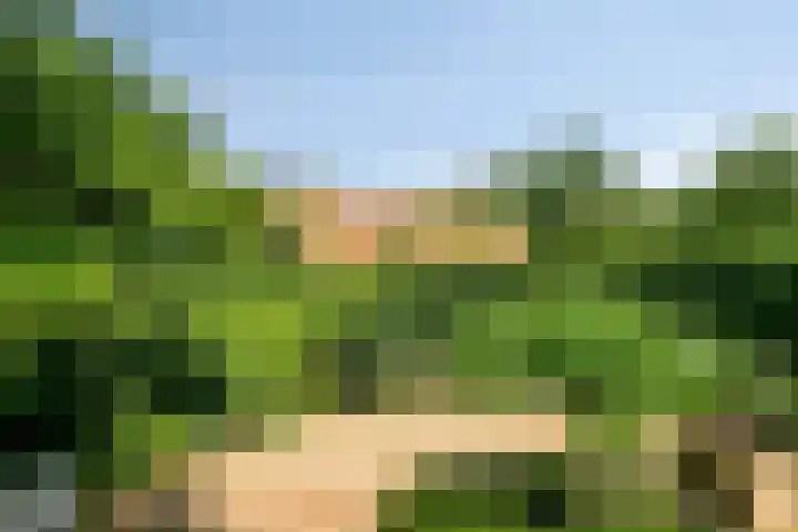 Hoogoordstraat 9 Macharen thumbnail 39
