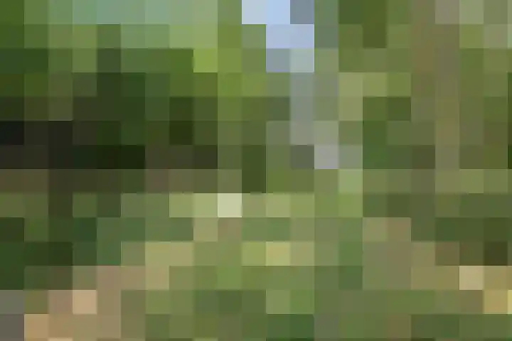 Hoogoordstraat 9 Macharen thumbnail 41