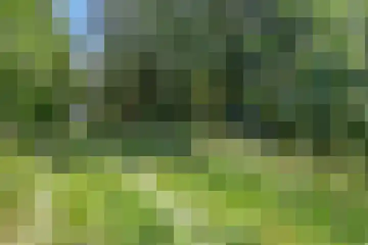 Hoogoordstraat 9 Macharen thumbnail 42