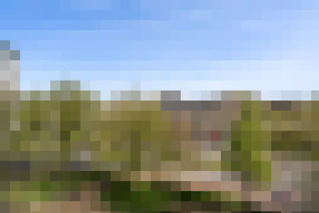 Hoogpoort 102 Weert thumbnail 14
