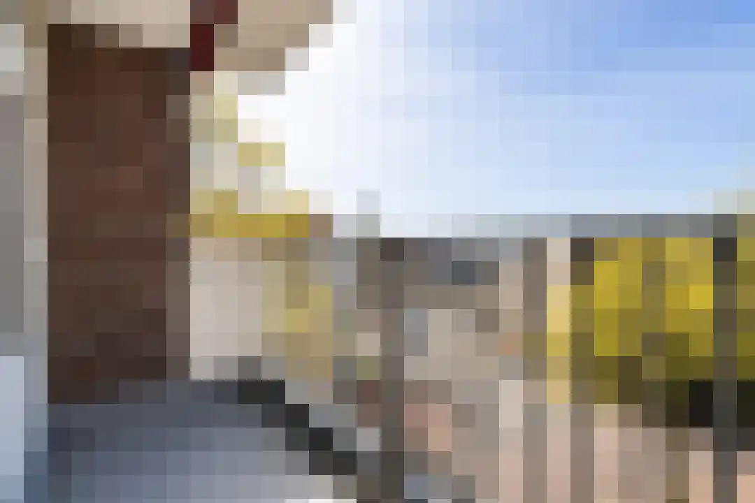 Hoogpoort 102 Weert thumbnail 5