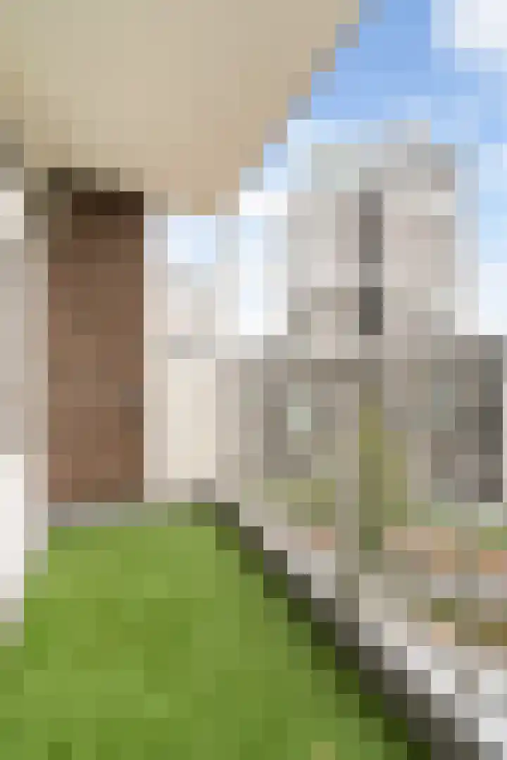 Hoogpoort 112 Weert thumbnail 30
