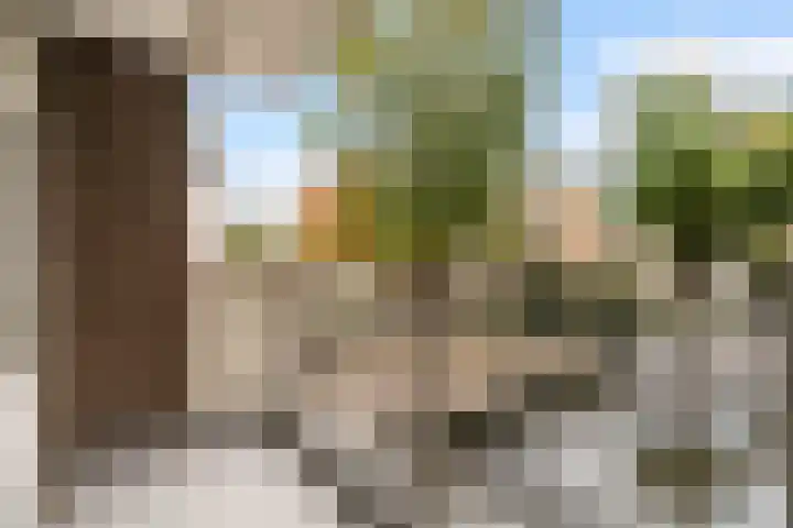 Hoogpoort 12 Weert thumbnail 5