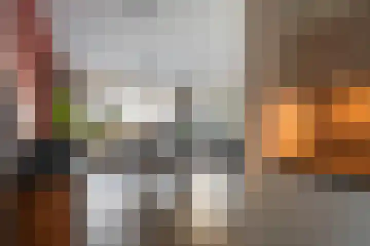 Hoogpoort 128 Weert thumbnail 20