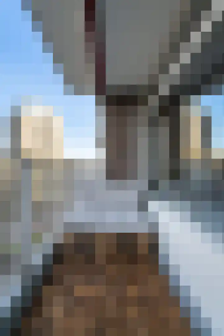 Hoogpoort 128 Weert thumbnail 28