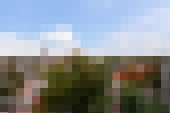 Hoogpoort 194 Weert thumbnail 29