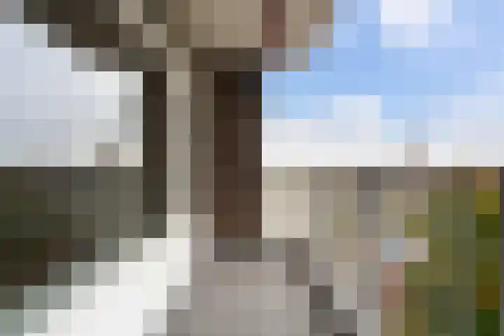 Hoogpoort 194 Weert thumbnail 30
