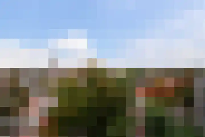 Hoogpoort 194 Weert thumbnail 5