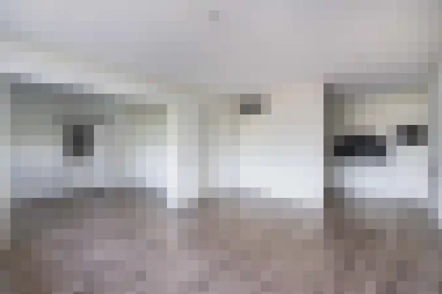 Hoogpoort 208 Weert thumbnail 17
