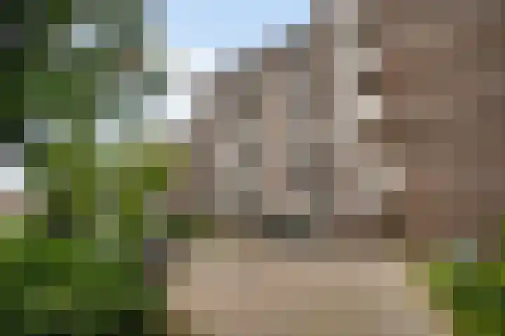 Hoogpoort 210 Weert thumbnail 30