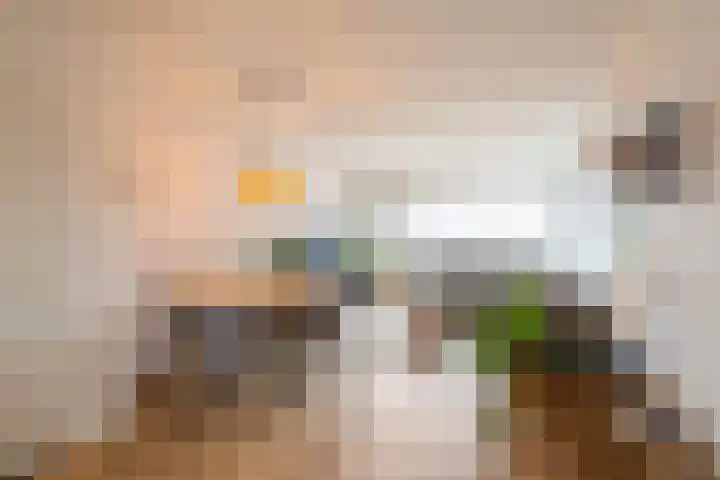 Hoogpoort 216 Weert thumbnail 17