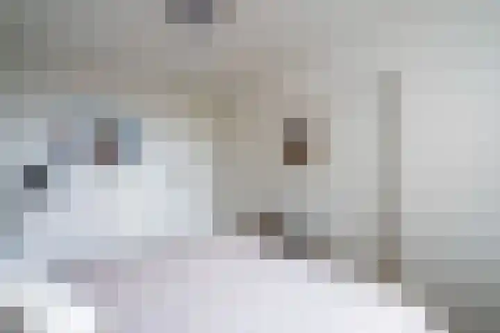 Hoogpoort 216 Weert thumbnail 25