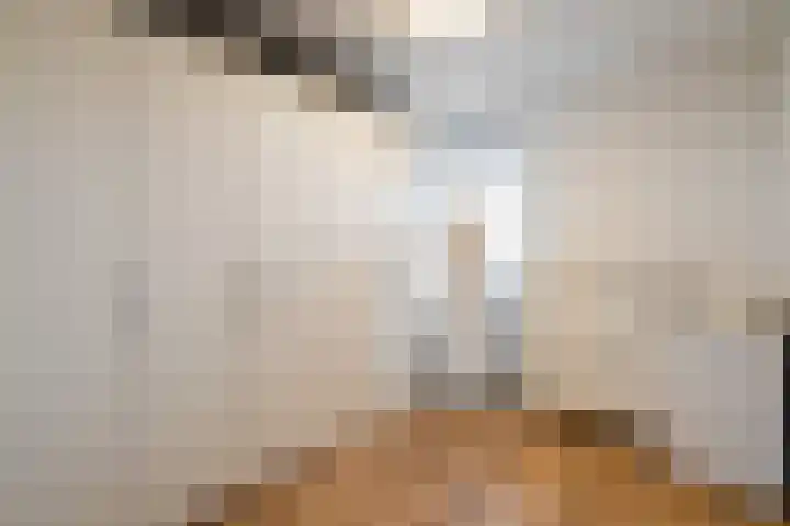Hoogpoort 216 Weert thumbnail 26