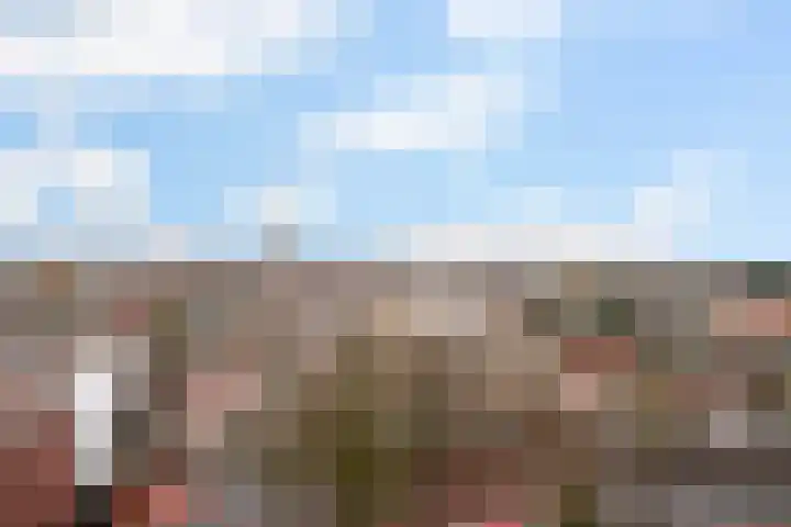 Hoogpoort 216 Weert thumbnail 33