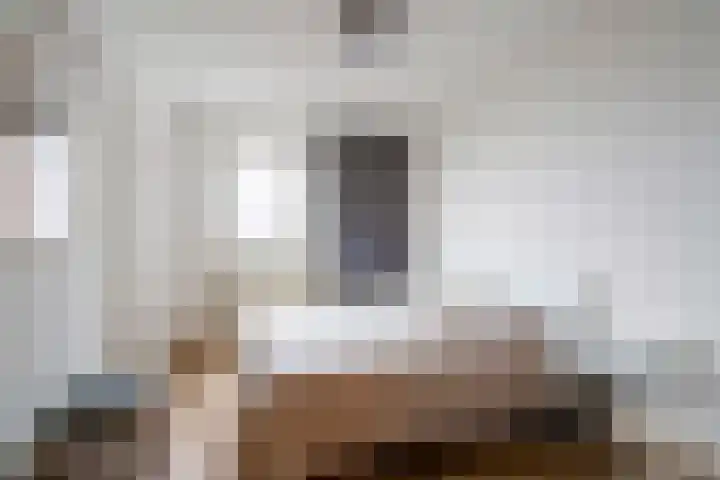 Hoogpoort 216 Weert thumbnail 4