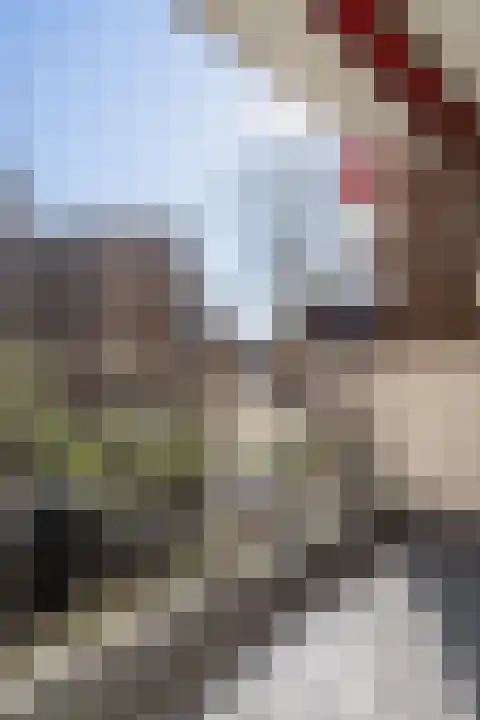 Hoogpoort 22 Weert thumbnail 26