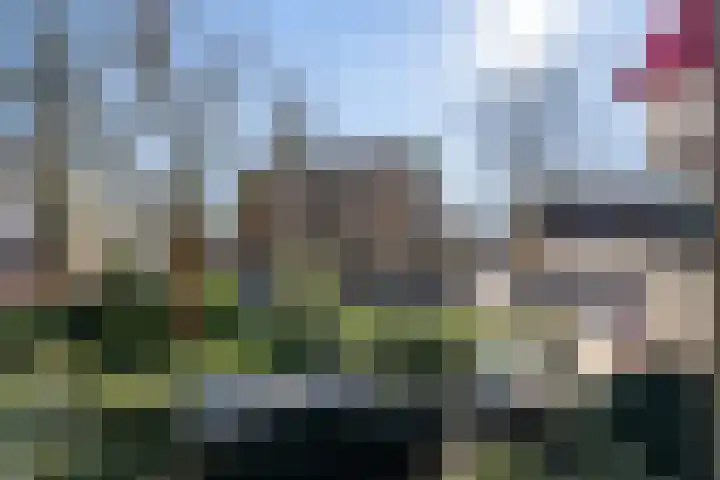 Hoogpoort 22 Weert thumbnail 28