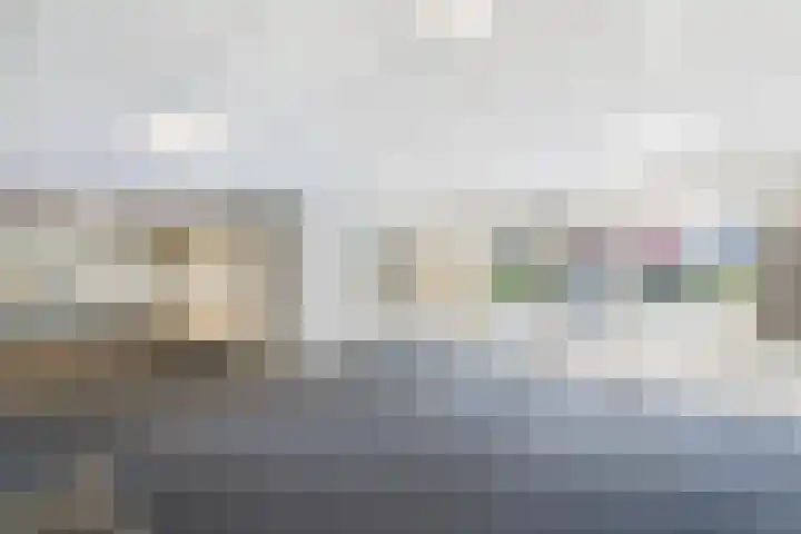 Hoogpoort 224 Weert thumbnail 8