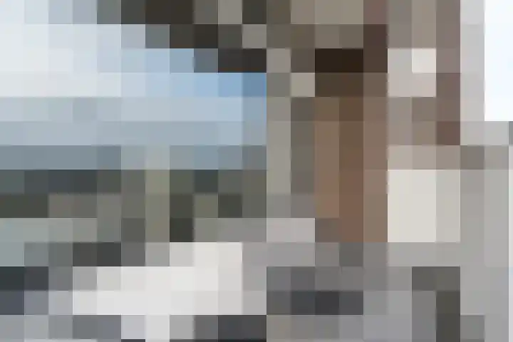 Hoogpoort 226 Weert thumbnail 26