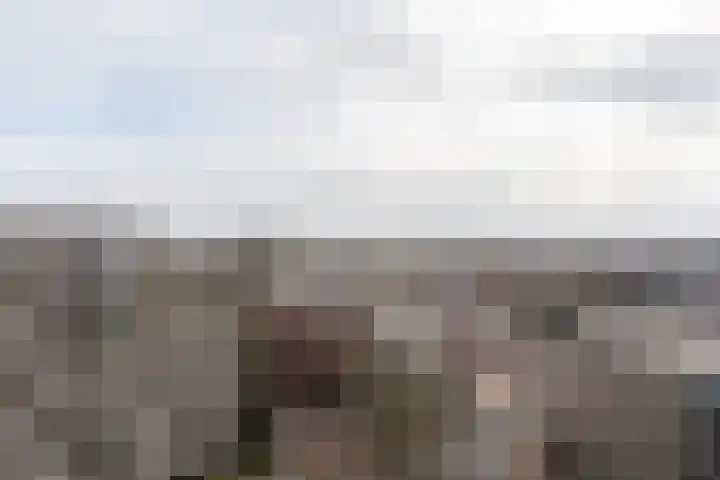 Hoogpoort 226 Weert thumbnail 28