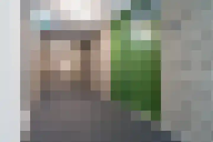 Hoogpoort 226 Weert thumbnail 29