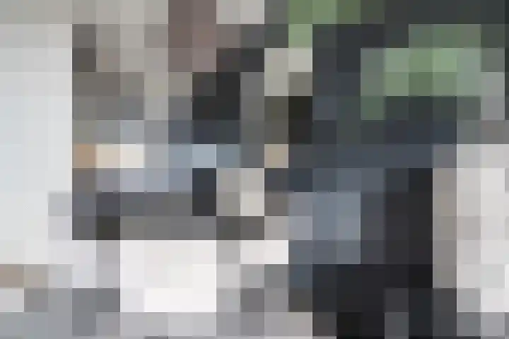 Hoogpoort 226 Weert thumbnail 9
