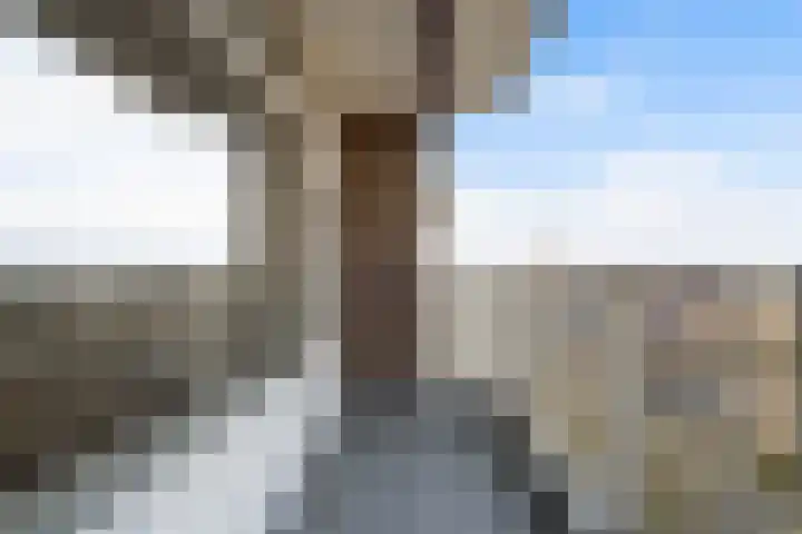 Hoogpoort 230 Weert thumbnail 28
