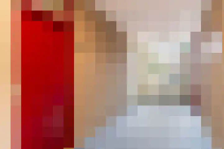 Hoogpoort 26 Weert thumbnail 12