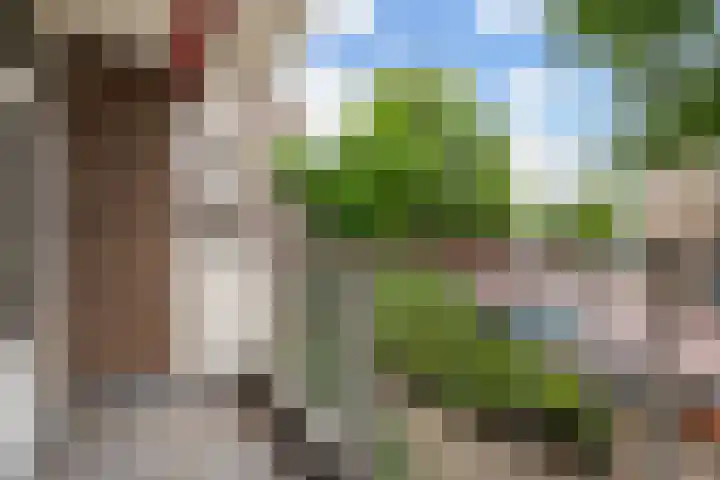 Hoogpoort 26 Weert thumbnail 26