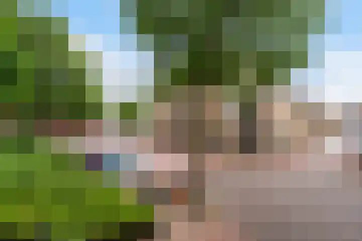 Hoogpoort 26 Weert thumbnail 27