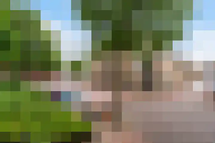 Hoogpoort 26 Weert thumbnail 5