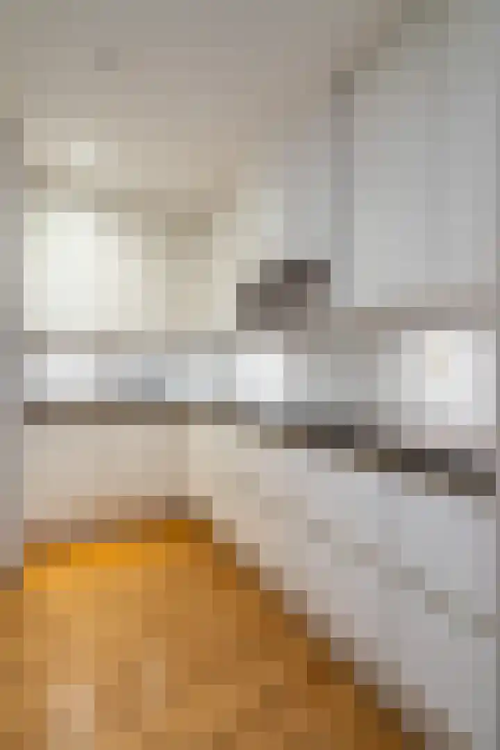 Hoogpoort 34 Weert thumbnail 26