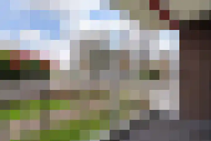 Hoogpoort 34 Weert thumbnail 34