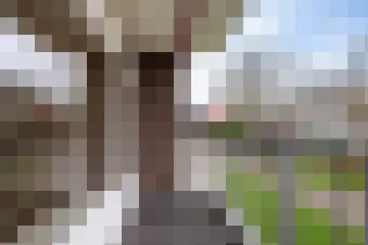 Hoogpoort 34 Weert thumbnail 35