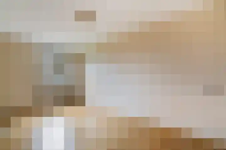 Hoogpoort 34 Weert thumbnail 4