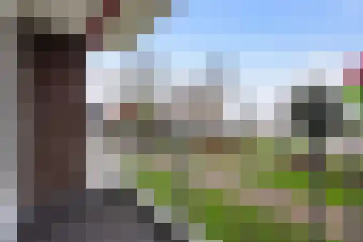 Hoogpoort 34 Weert thumbnail 5