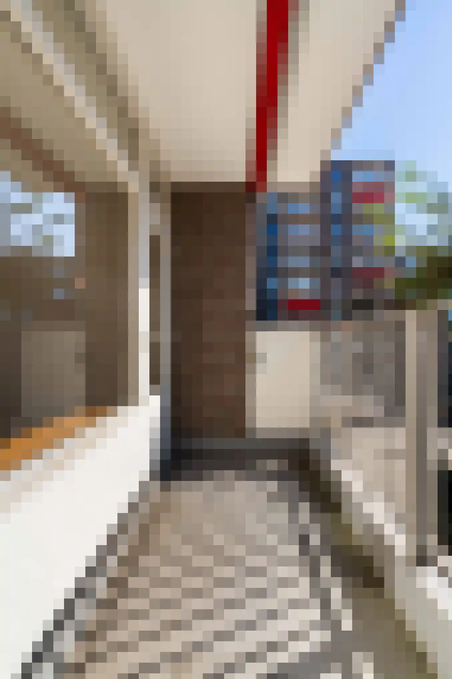 Hoogpoort 56 Weert thumbnail 31