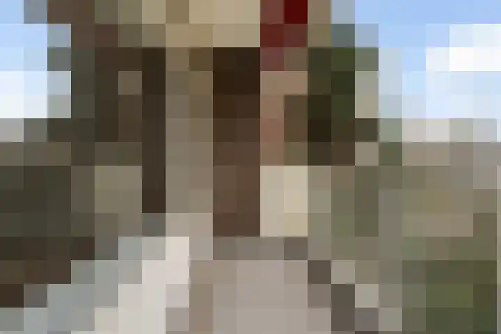 Hoogpoort 6 Weert thumbnail 29