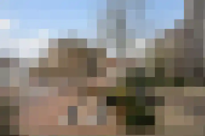 Hoogpoort 6 Weert thumbnail 30