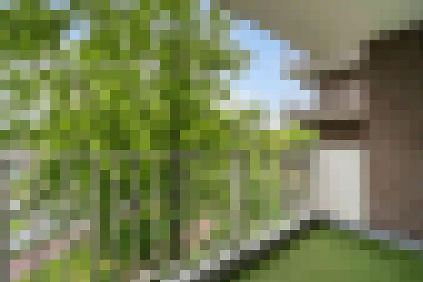 Hoogpoort 78 Weert thumbnail 30