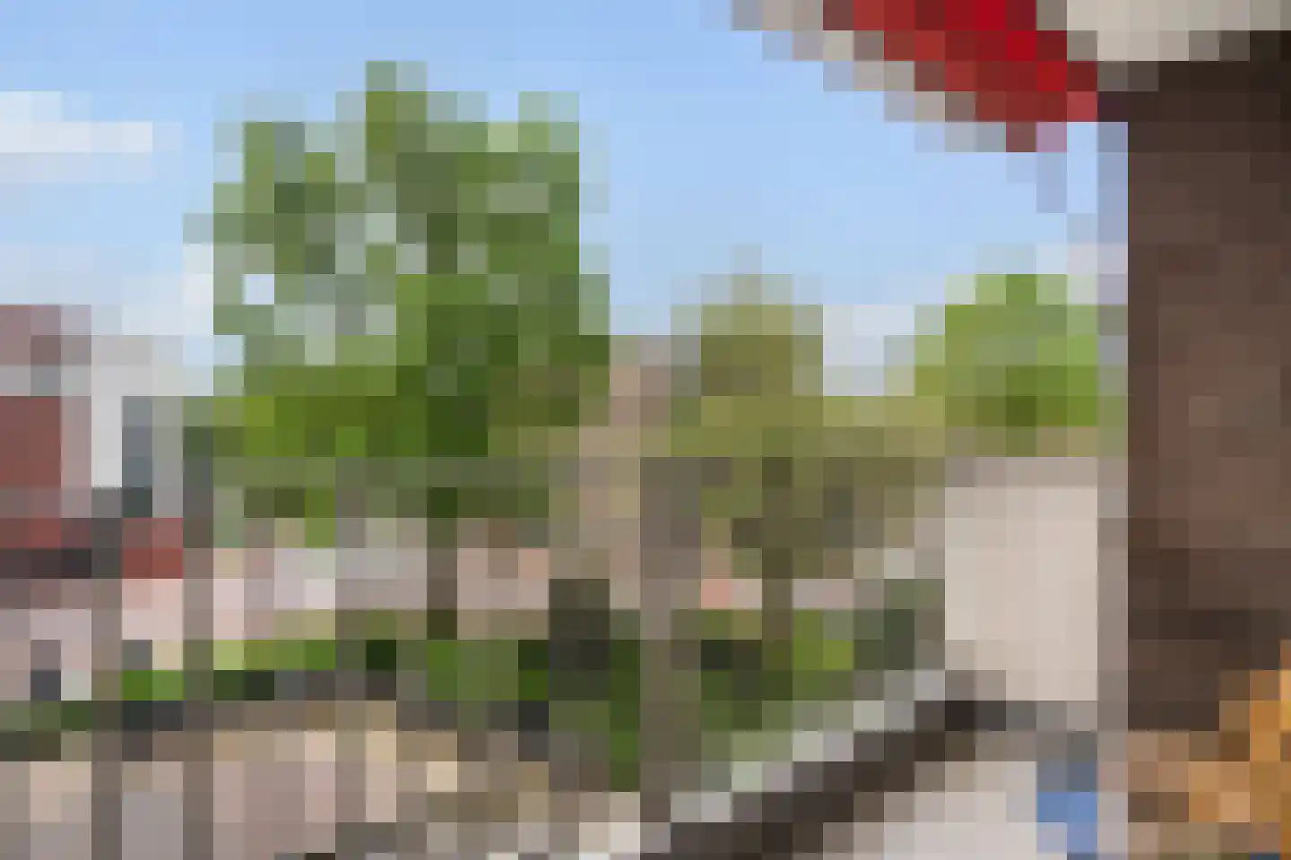 Hoogpoort 82 Weert thumbnail 20