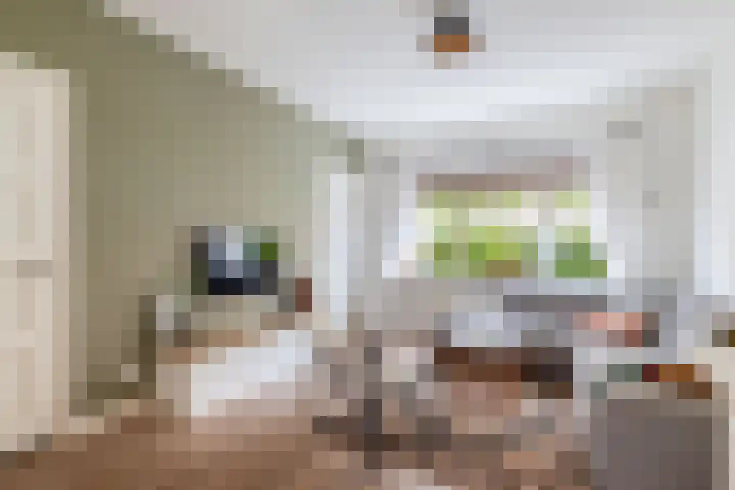 Hoogravenseweg 105 Utrecht thumbnail 18