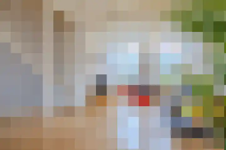 Hoogravenseweg 128 Utrecht thumbnail 10