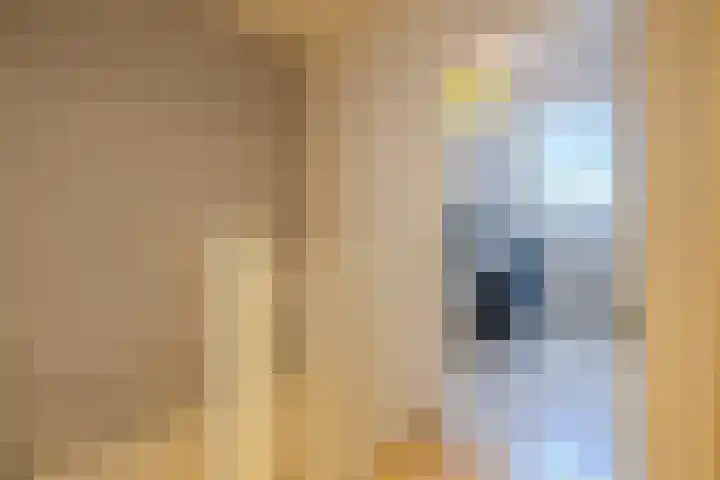 Hoogravenseweg 128 Utrecht thumbnail 38
