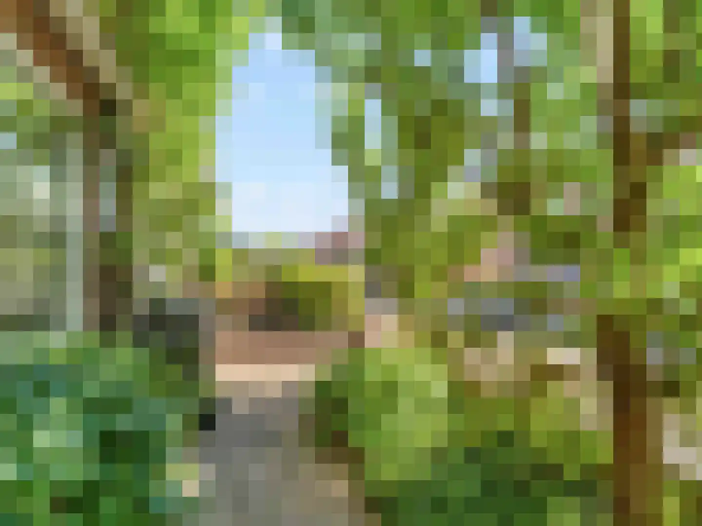 Hoogravenseweg 133 Utrecht thumbnail 40