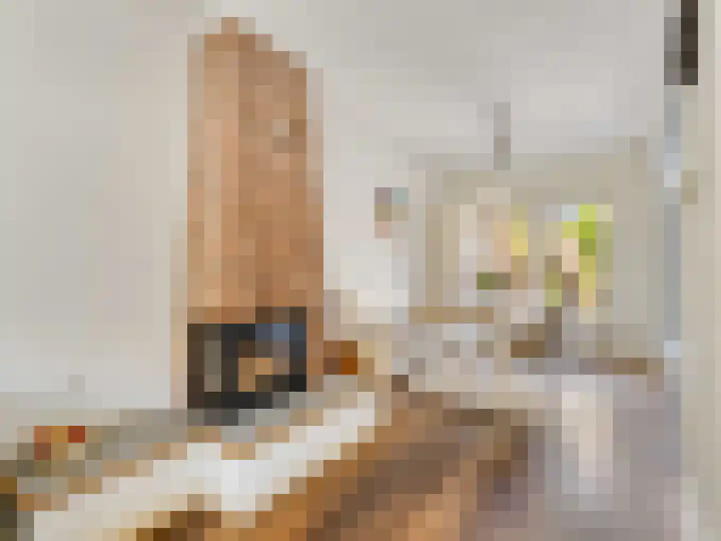 Hoogravenseweg 133 Utrecht thumbnail 7