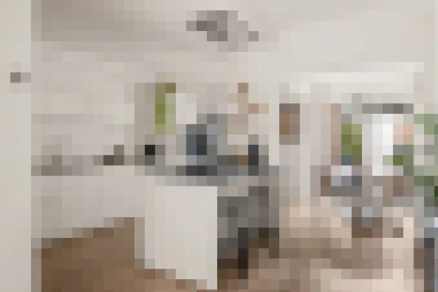 Hoogravenseweg 135 Utrecht thumbnail 10