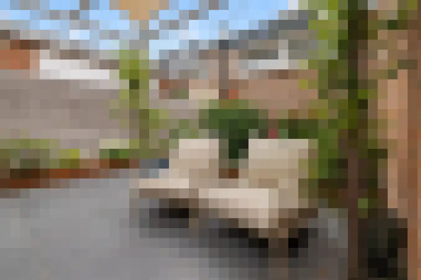 Hoogravenseweg 135 Utrecht thumbnail 25