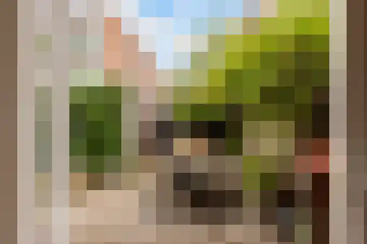 Hoogravenseweg 153 Utrecht thumbnail 20