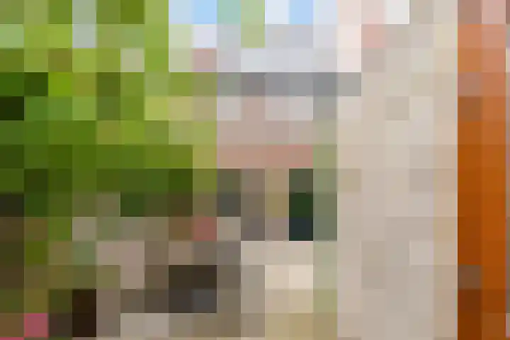 Hoogravenseweg 153 Utrecht thumbnail 21